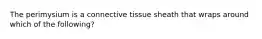 The perimysium is a connective tissue sheath that wraps around which of the following?