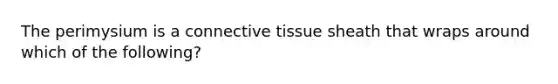 The perimysium is a <a href='https://www.questionai.com/knowledge/kYDr0DHyc8-connective-tissue' class='anchor-knowledge'>connective tissue</a> sheath that wraps around which of the following?