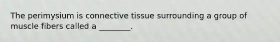 The perimysium is connective tissue surrounding a group of muscle fibers called a ________.