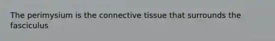 The perimysium is the <a href='https://www.questionai.com/knowledge/kYDr0DHyc8-connective-tissue' class='anchor-knowledge'>connective tissue</a> that surrounds the fasciculus