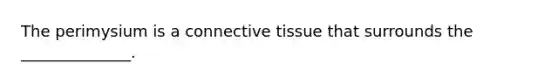 The perimysium is a connective tissue that surrounds the ______________.