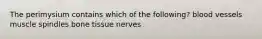 The perimysium contains which of the following? blood vessels muscle spindles bone tissue nerves