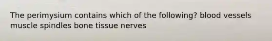 The perimysium contains which of the following? <a href='https://www.questionai.com/knowledge/kZJ3mNKN7P-blood-vessels' class='anchor-knowledge'>blood vessels</a> muscle spindles bone tissue nerves