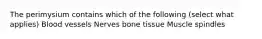 The perimysium contains which of the following (select what applies) Blood vessels Nerves bone tissue Muscle spindles