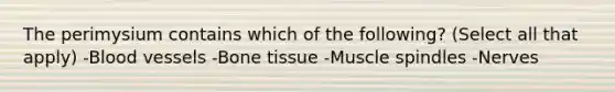 The perimysium contains which of the following? (Select all that apply) -Blood vessels -Bone tissue -Muscle spindles -Nerves