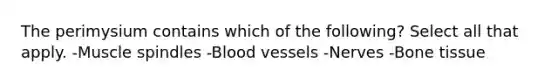 The perimysium contains which of the following? Select all that apply. -Muscle spindles -Blood vessels -Nerves -Bone tissue