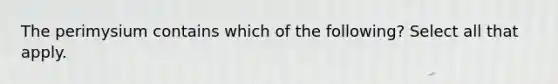 The perimysium contains which of the following? Select all that apply.