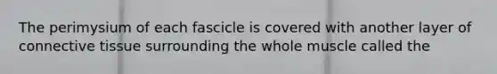 The perimysium of each fascicle is covered with another layer of connective tissue surrounding the whole muscle called the