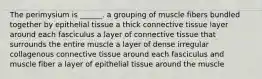 The perimysium is ______. a grouping of muscle fibers bundled together by epithelial tissue a thick connective tissue layer around each fasciculus a layer of connective tissue that surrounds the entire muscle a layer of dense irregular collagenous connective tissue around each fasciculus and muscle fiber a layer of epithelial tissue around the muscle