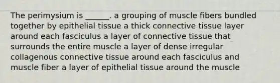 The perimysium is ______. a grouping of muscle fibers bundled together by <a href='https://www.questionai.com/knowledge/k7dms5lrVY-epithelial-tissue' class='anchor-knowledge'>epithelial tissue</a> a thick <a href='https://www.questionai.com/knowledge/kYDr0DHyc8-connective-tissue' class='anchor-knowledge'>connective tissue</a> layer around each fasciculus a layer of connective tissue that surrounds the entire muscle a layer of dense irregular collagenous connective tissue around each fasciculus and muscle fiber a layer of epithelial tissue around the muscle