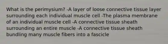 What is the perimysium? -A layer of loose connective tissue layer surrounding each individual muscle cell -The plasma membrane of an individual muscle cell -A connective tissue sheath surrounding an entire muscle -A connective tissue sheath bundling many muscle fibers into a fascicle