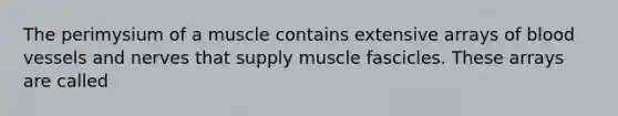 The perimysium of a muscle contains extensive arrays of blood vessels and nerves that supply muscle fascicles. These arrays are called