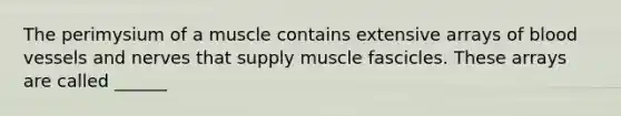 The perimysium of a muscle contains extensive arrays of blood vessels and nerves that supply muscle fascicles. These arrays are called ______