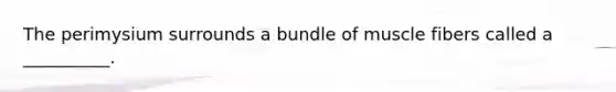 The perimysium surrounds a bundle of muscle fibers called a __________.