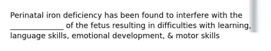 Perinatal iron deficiency has been found to interfere with the ______________ of the fetus resulting in difficulties with learning, language skills, emotional development, & motor skills