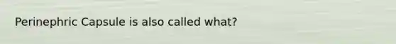 Perinephric Capsule is also called what?