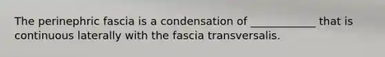 The perinephric fascia is a condensation of ____________ that is continuous laterally with the fascia transversalis.