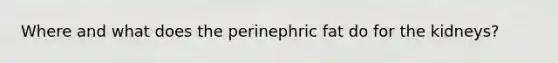 Where and what does the perinephric fat do for the kidneys?