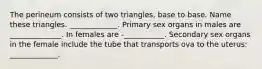 The perineum consists of two triangles, base to base. Name these triangles. _____________. Primary sex organs in males are ______________. In females are -___________. Secondary sex organs in the female include the tube that transports ova to the uterus: _____________.