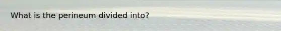 What is the perineum divided into?
