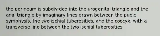 the perineum is subdivided into the urogenital triangle and the anal triangle by imaginary lines drawn between the pubic symphysis, the two ischial tuberosities, and the coccyx, with a transverse line between the two ischial tuberosities