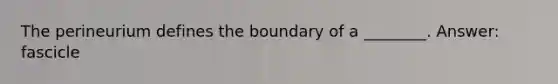 The perineurium defines the boundary of a ________. Answer: fascicle