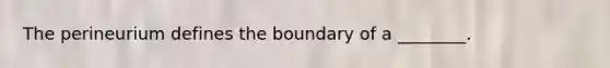 The perineurium defines the boundary of a ________.