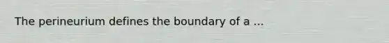 The perineurium defines the boundary of a ...