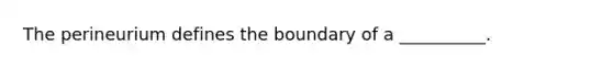 The perineurium defines the boundary of a __________.