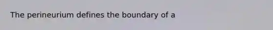 The perineurium defines the boundary of a