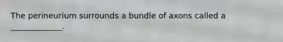 The perineurium surrounds a bundle of axons called a _____________.
