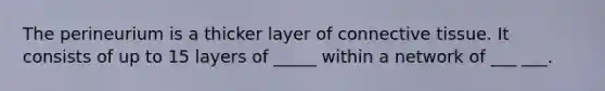 The perineurium is a thicker layer of connective tissue. It consists of up to 15 layers of _____ within a network of ___ ___.