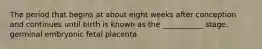 The period that begins at about eight weeks after conception and continues until birth is known as the ___________ stage. germinal embryonic fetal placenta