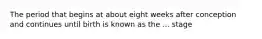 The period that begins at about eight weeks after conception and continues until birth is known as the ... stage