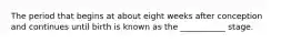 The period that begins at about eight weeks after conception and continues until birth is known as the ___________ stage.