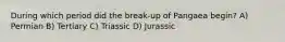 During which period did the break-up of Pangaea begin? A) Permian B) Tertiary C) Triassic D) Jurassic
