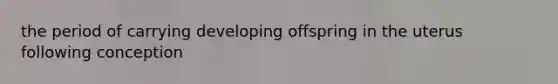 the period of carrying developing offspring in the uterus following conception