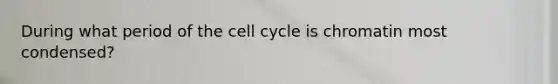 During what period of the cell cycle is chromatin most condensed?