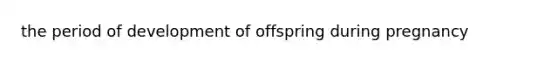 the period of development of offspring during pregnancy