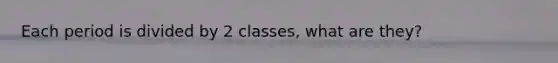 Each period is divided by 2 classes, what are they?