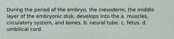 During the period of the embryo, the mesoderm, the middle layer of the embryonic disk, develops into the a. muscles, circulatory system, and bones. b. neural tube. c. fetus. d. umbilical cord.