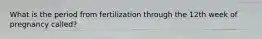 What is the period from fertilization through the 12th week of pregnancy called?