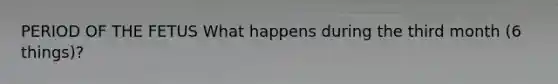 PERIOD OF THE FETUS What happens during the third month (6 things)?