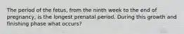 The period of the fetus, from the ninth week to the end of pregnancy, is the longest prenatal period. During this growth and finishing phase what occurs?