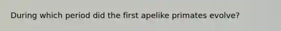 During which period did the first apelike primates evolve?