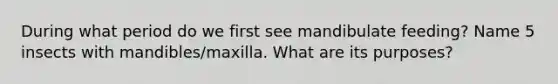 During what period do we first see mandibulate feeding? Name 5 insects with mandibles/maxilla. What are its purposes?