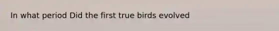 In what period Did the first true birds evolved