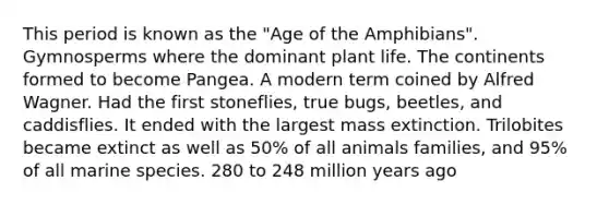 This period is known as the "Age of the Amphibians". Gymnosperms where the dominant plant life. The continents formed to become Pangea. A modern term coined by Alfred Wagner. Had the first stoneflies, true bugs, beetles, and caddisflies. It ended with the largest mass extinction. Trilobites became extinct as well as 50% of all animals families, and 95% of all marine species. 280 to 248 million years ago