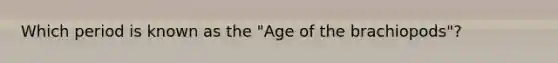 Which period is known as the "Age of the brachiopods"?