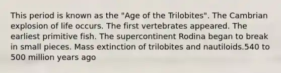 This period is known as the "Age of the Trilobites". The Cambrian explosion of life occurs. The first vertebrates appeared. The earliest primitive fish. The supercontinent Rodina began to break in small pieces. Mass extinction of trilobites and nautiloids.540 to 500 million years ago